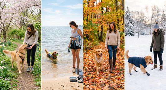 Seasonal Dog Care Tips for Every Weather