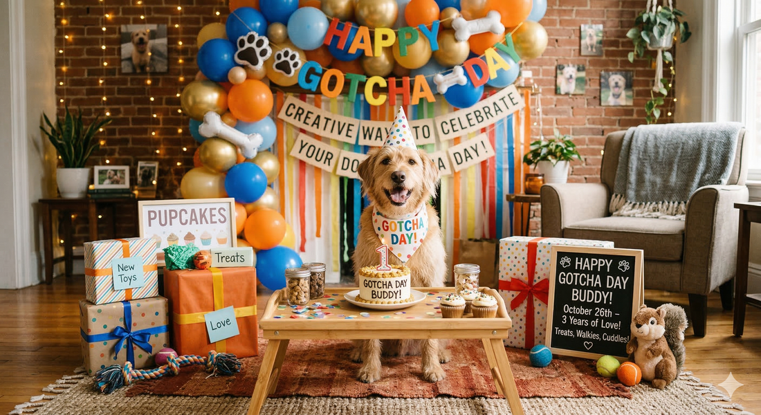 Creative Ways to Celebrate Your Dog's Gotcha Day
