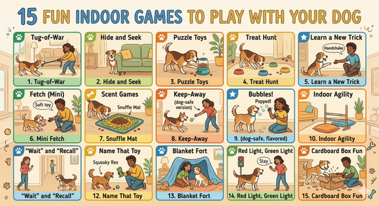 15 Fun Indoor Games to Play With Your Dog