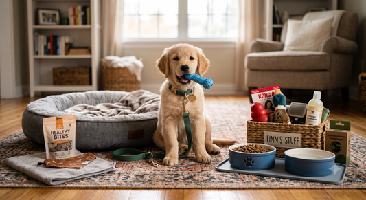 Best Dog Accessories Every New Puppy Owner Needs