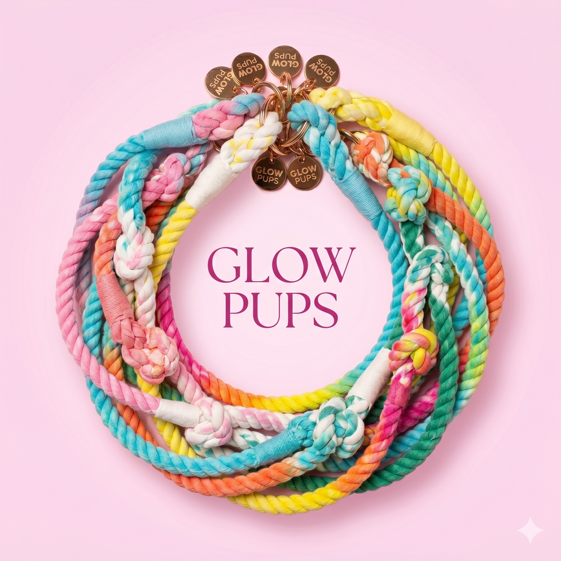 Best Dog Collars for Comfort, Style, and Durability (Buyer’s Guide)
