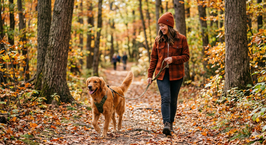 How to Keep Your Pet Healthy and Happy Year-Round