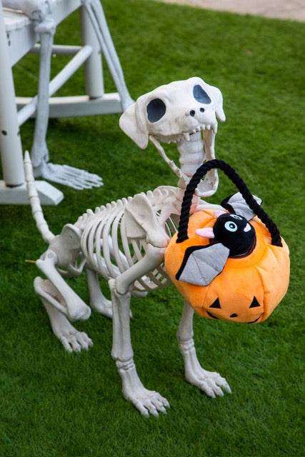 The Most Popular Halloween Dog Toys
