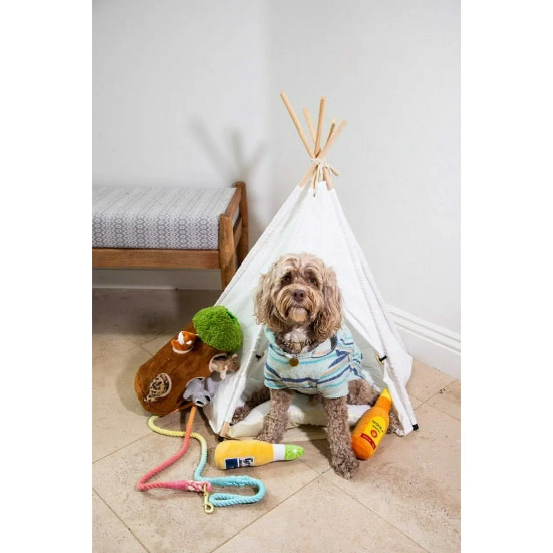 Must-Have Dog Accessories Every Pet Parent Needs