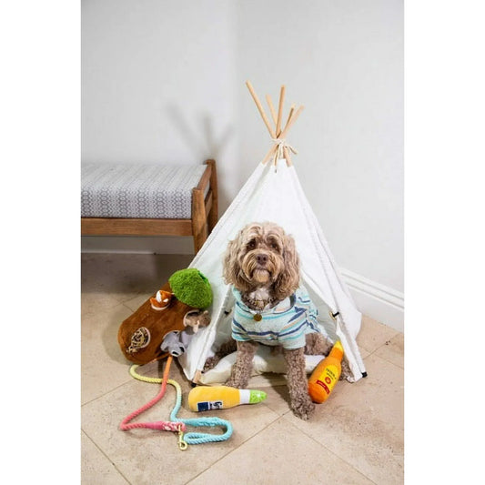 Must-Have Dog Accessories Every Pet Parent Needs