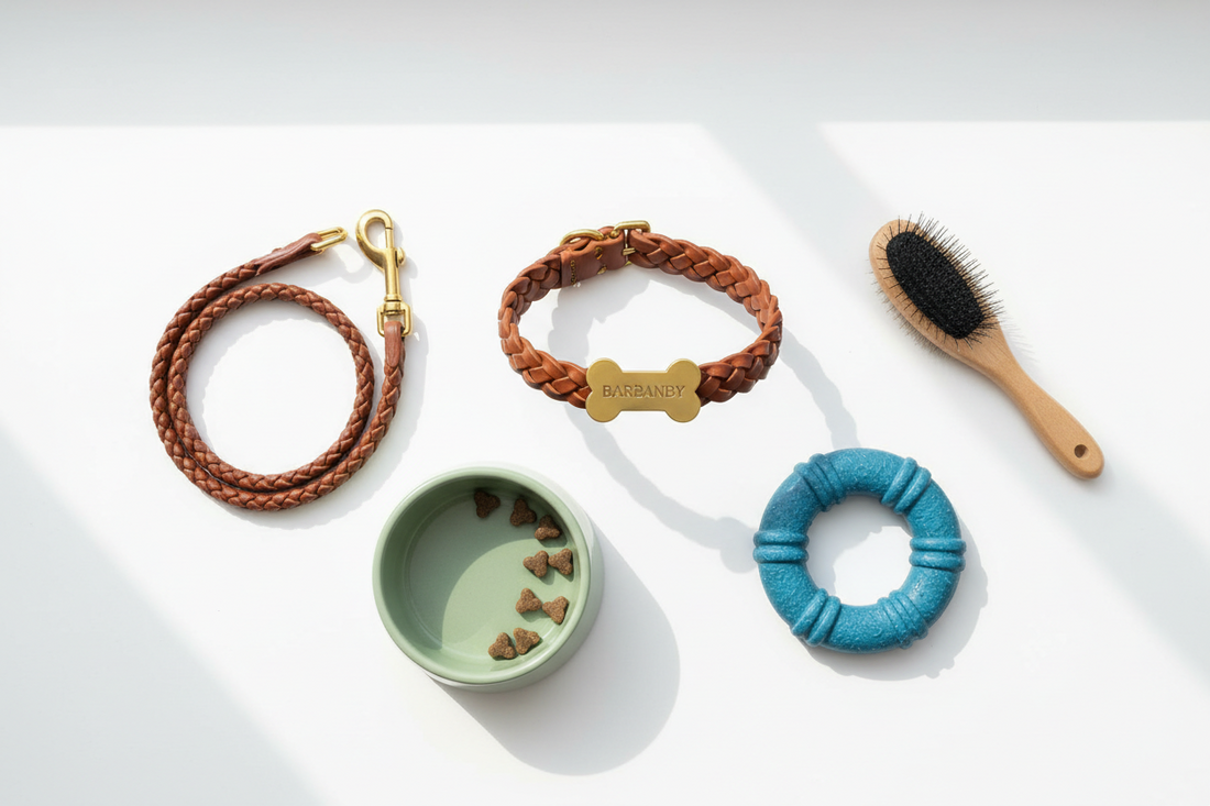 5 Must-Have Accessories Every Dog Owner Needs