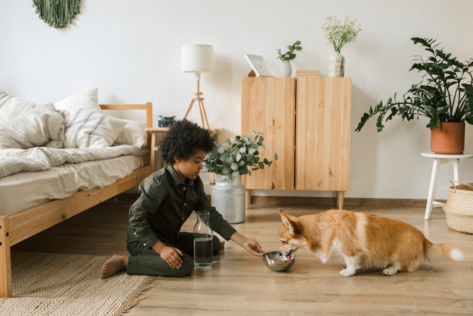 The Daily Benefits of Non-Slip Water Bowls for Energetic Pups