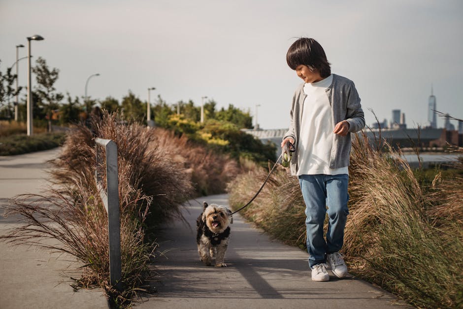 10 Benefits of Using Training Leashes for Your Daily Dog Walks