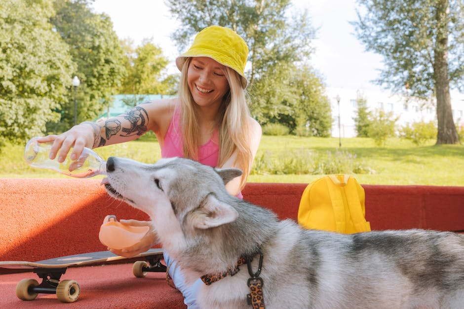 Keeping Your Dog Hydrated: What to Look for in Dog Bowls