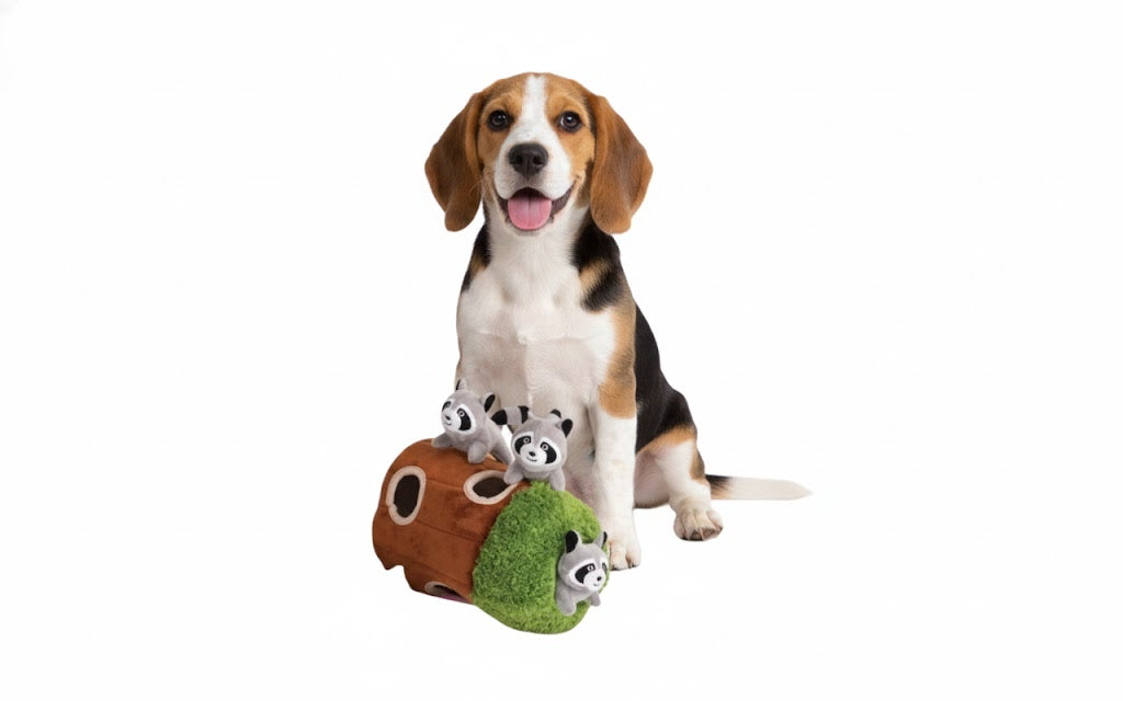 How Mental Stimulation Improves Your Dog’s Behavior