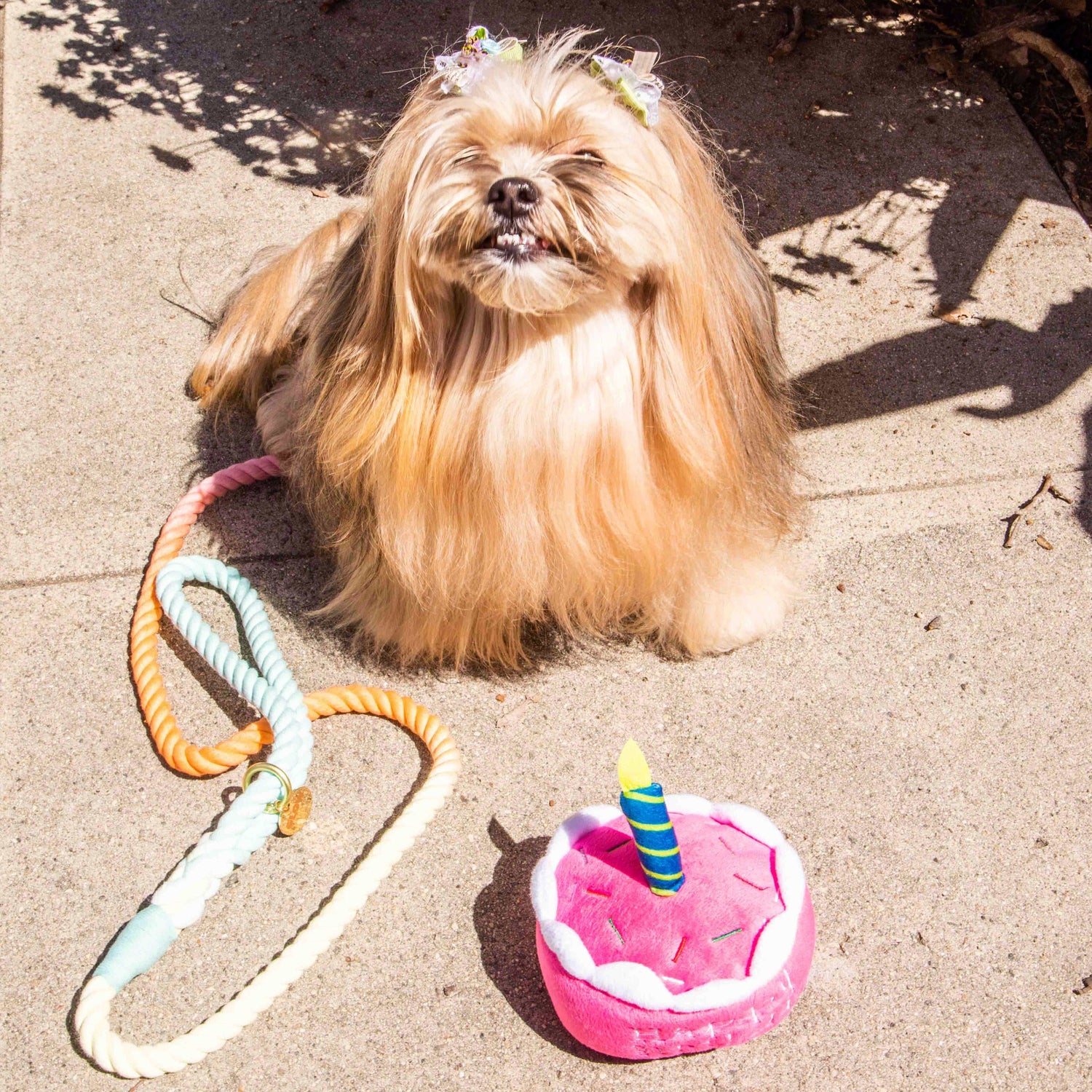 Festive Birthday Dog Toys and Birthday Bandanas