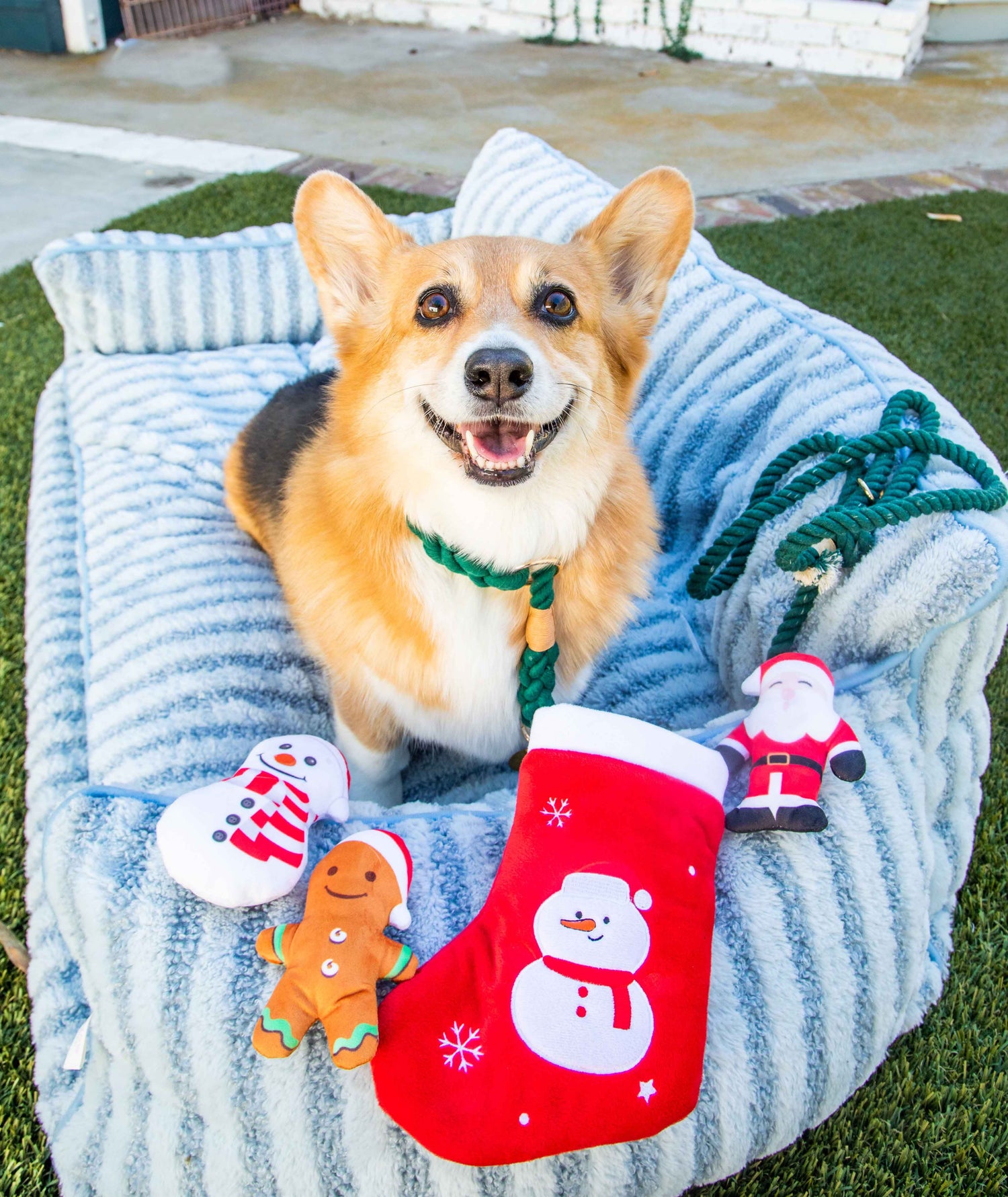 Christmas Holiday Collection