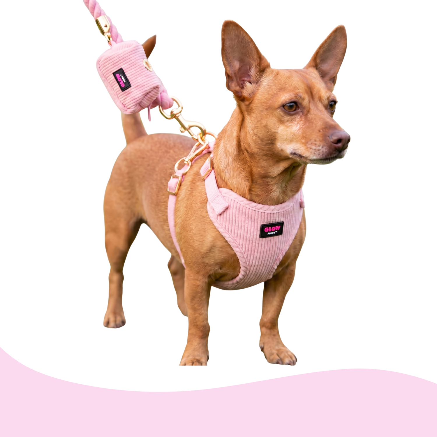 Harness and Matching Waste Bag Holder