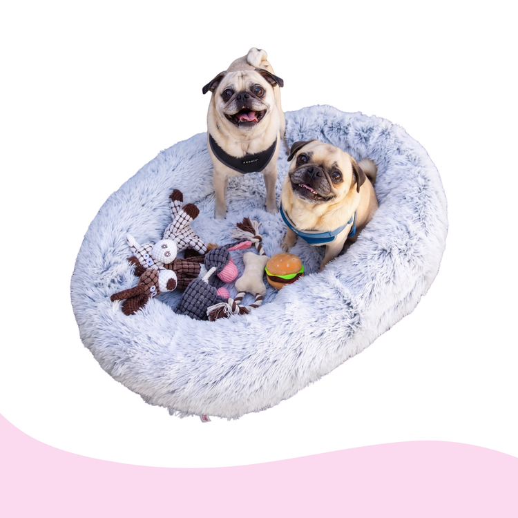 Cozy Dog Beds