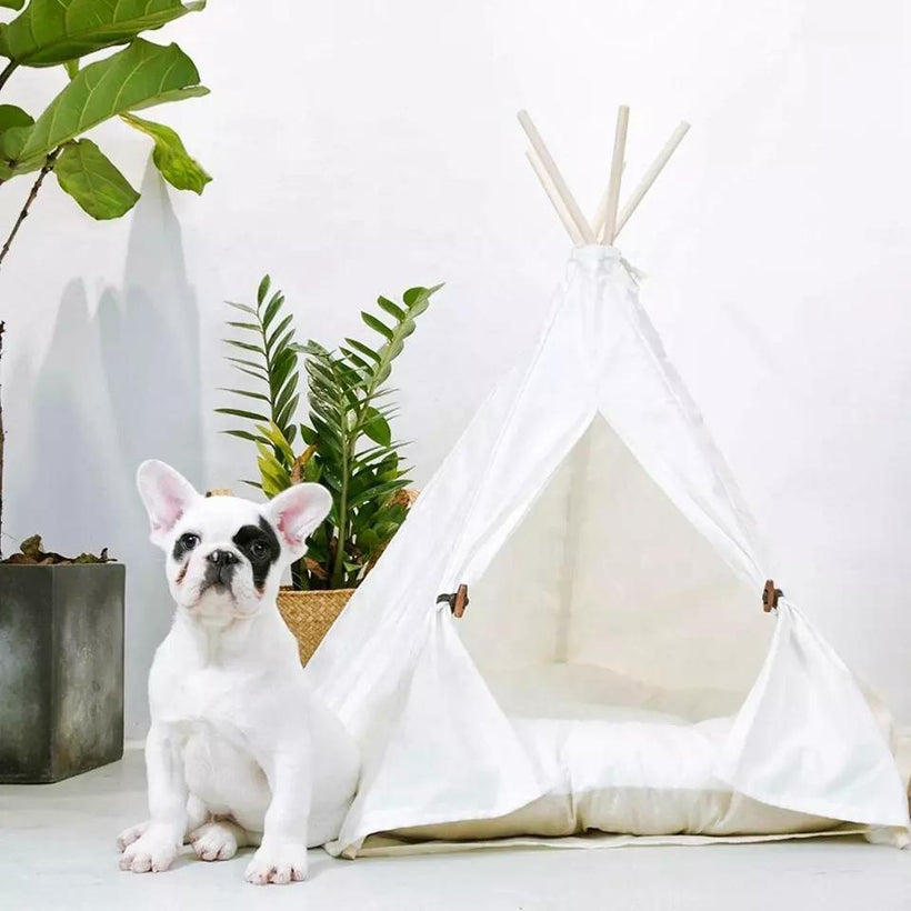 Pet Teepees and Dog Beds