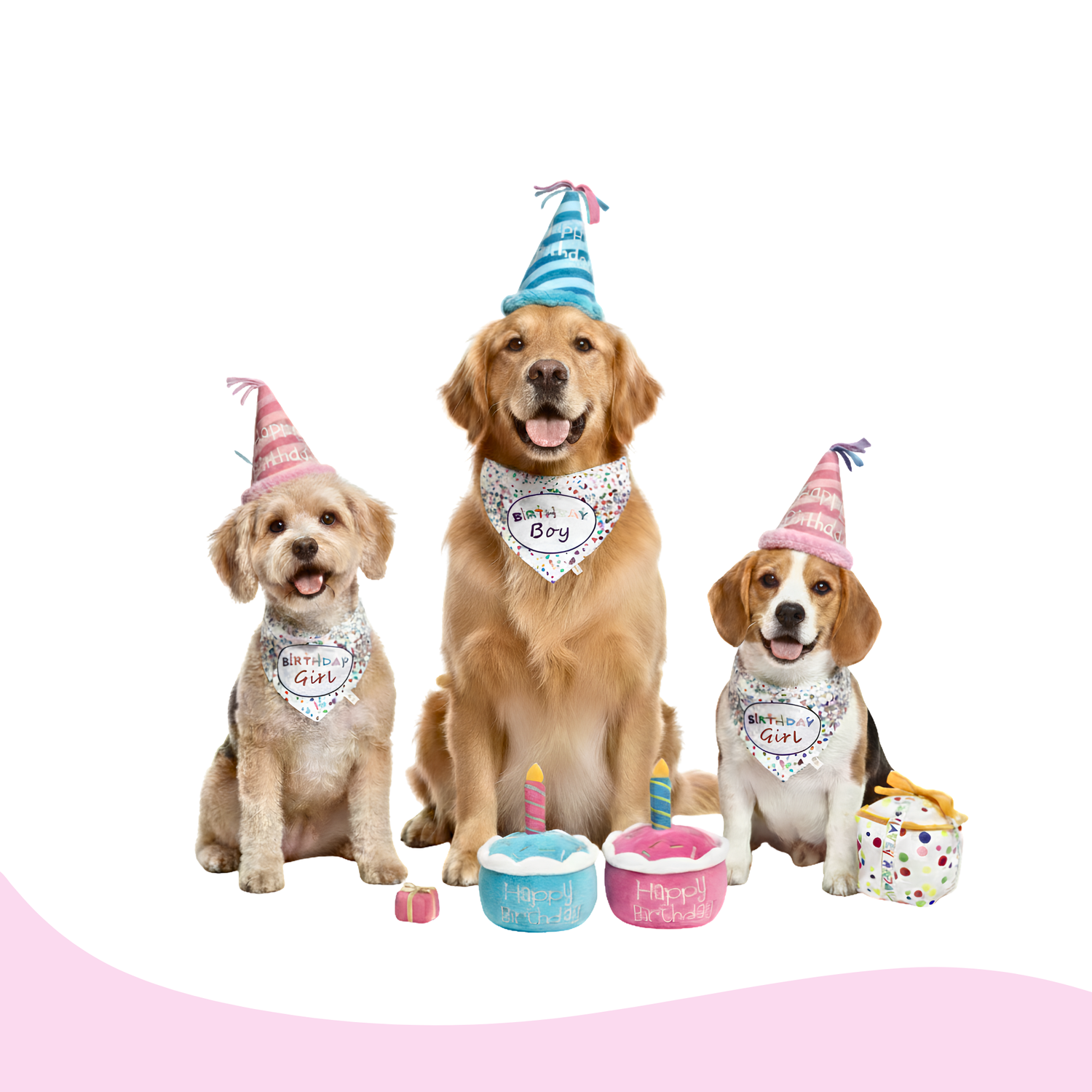 Festive Birthday Dog Toys and Birthday Bandanas
