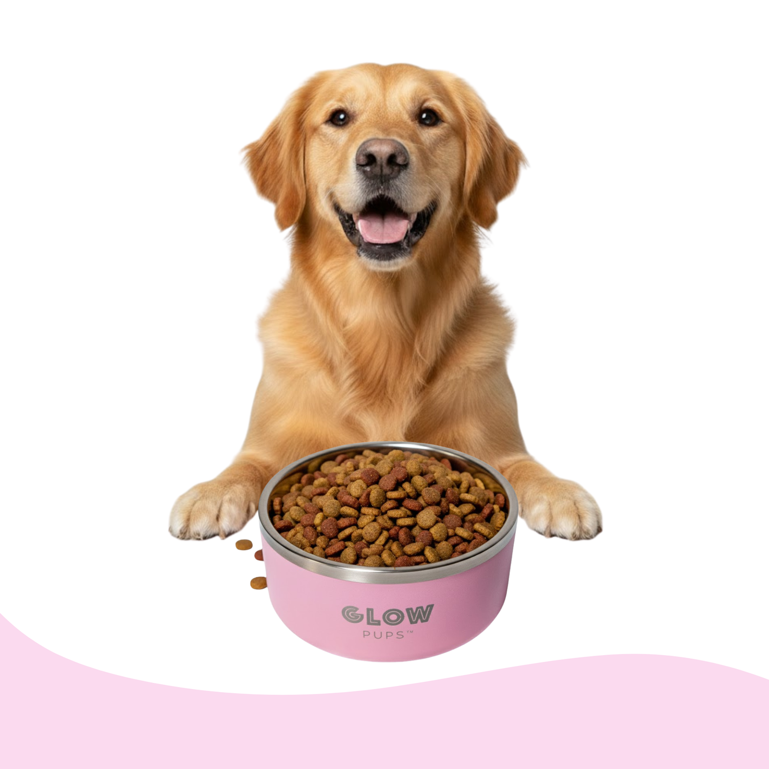 Vacuum Insulated Stainless Steel Dog Bowls