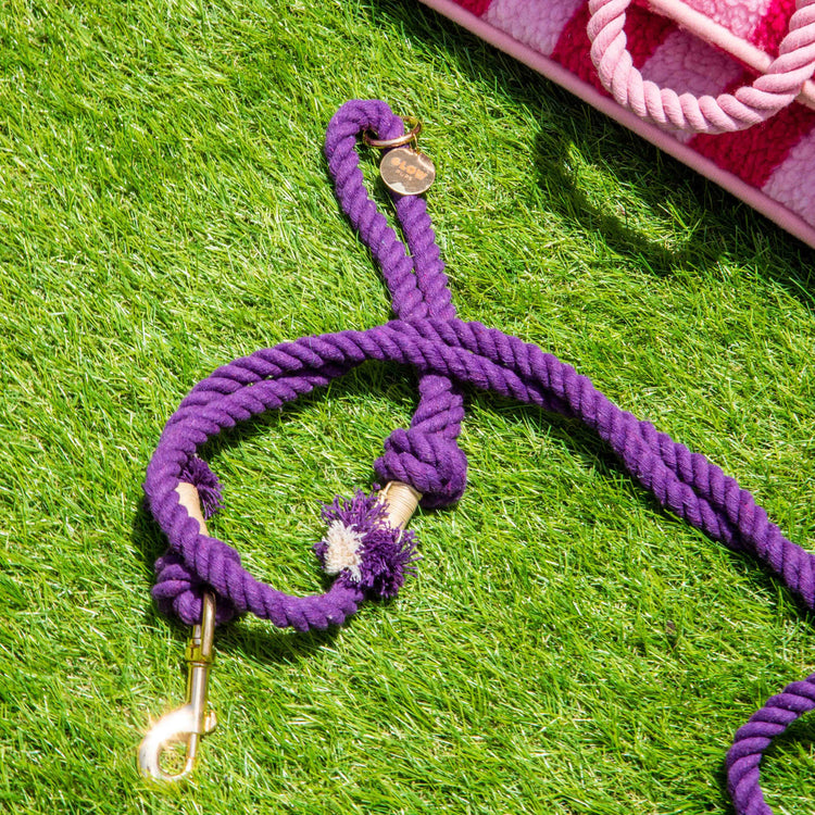 Handmade Boho Chic Style Leashes + Matching Collars