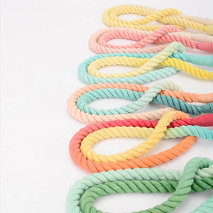 Rope Leashes and Collars