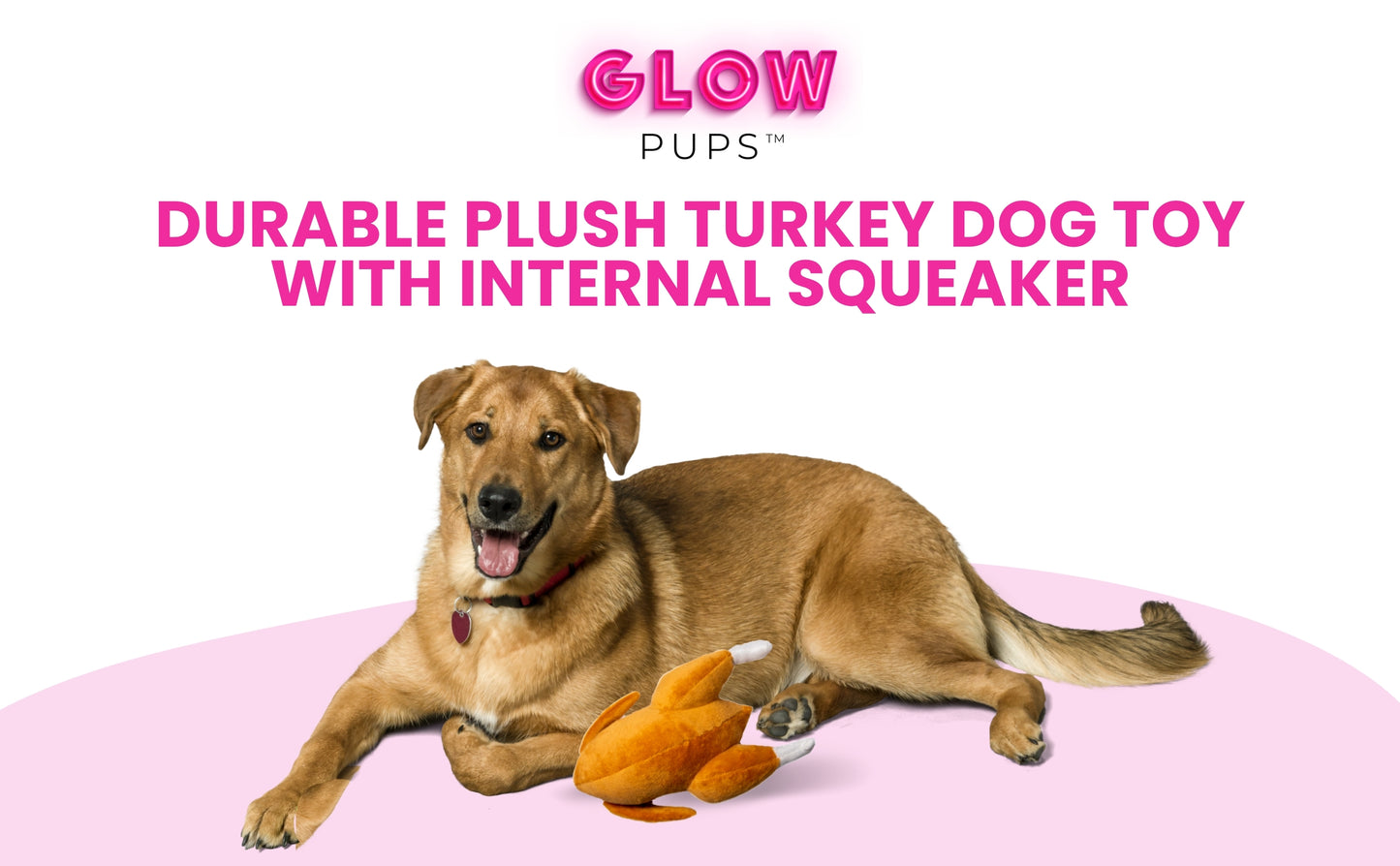 Thanksgiving Squeaky Plush Turkey Dog Toy - Glow Pups