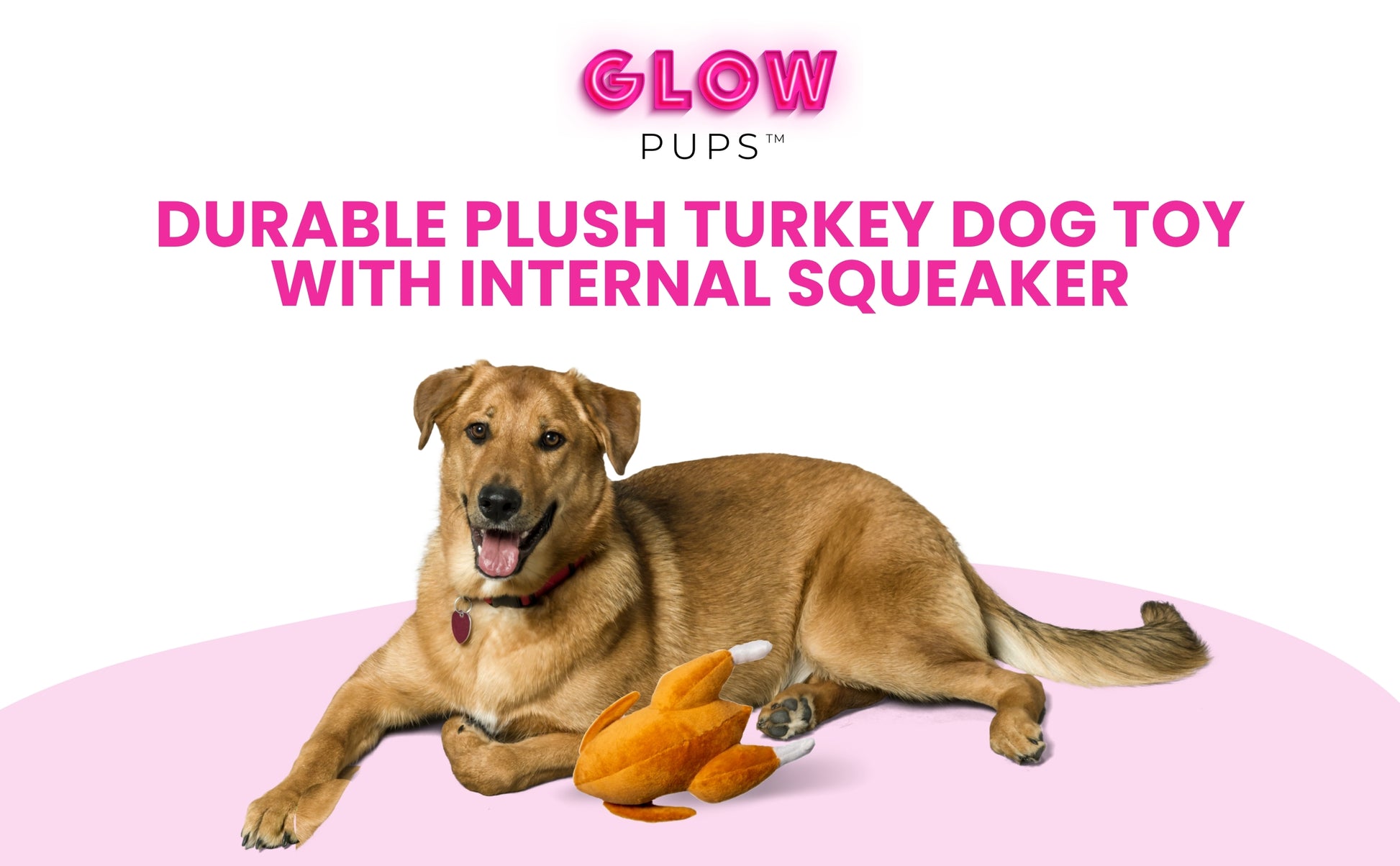 Thanksgiving Squeaky Plush Turkey Dog Toy - Glow Pups