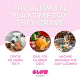 Thanksgiving Squeaky Plush Turkey Dog Toy - Glow Pups by Glow Pups