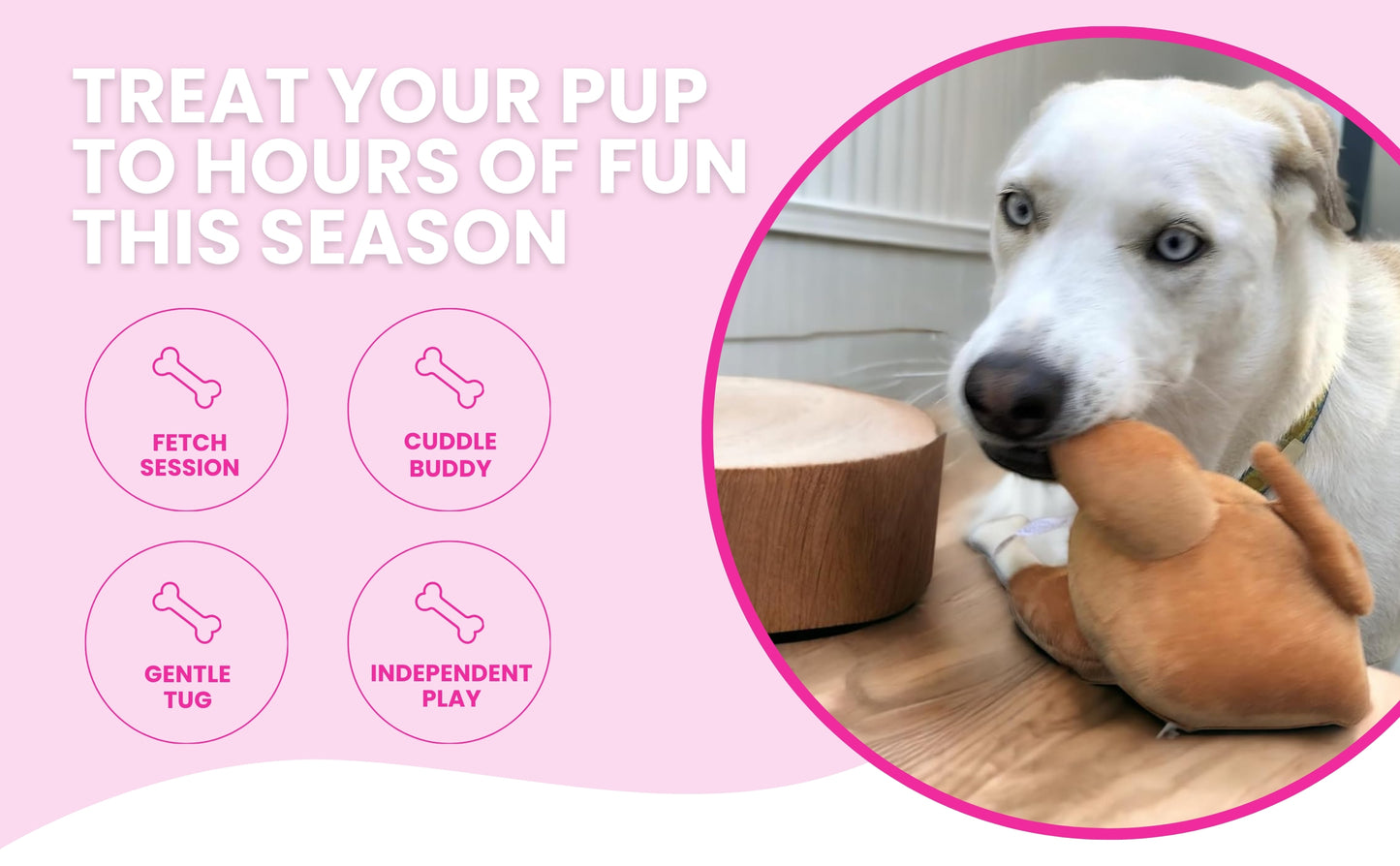 Thanksgiving Squeaky Plush Turkey Dog Toy - Glow Pups