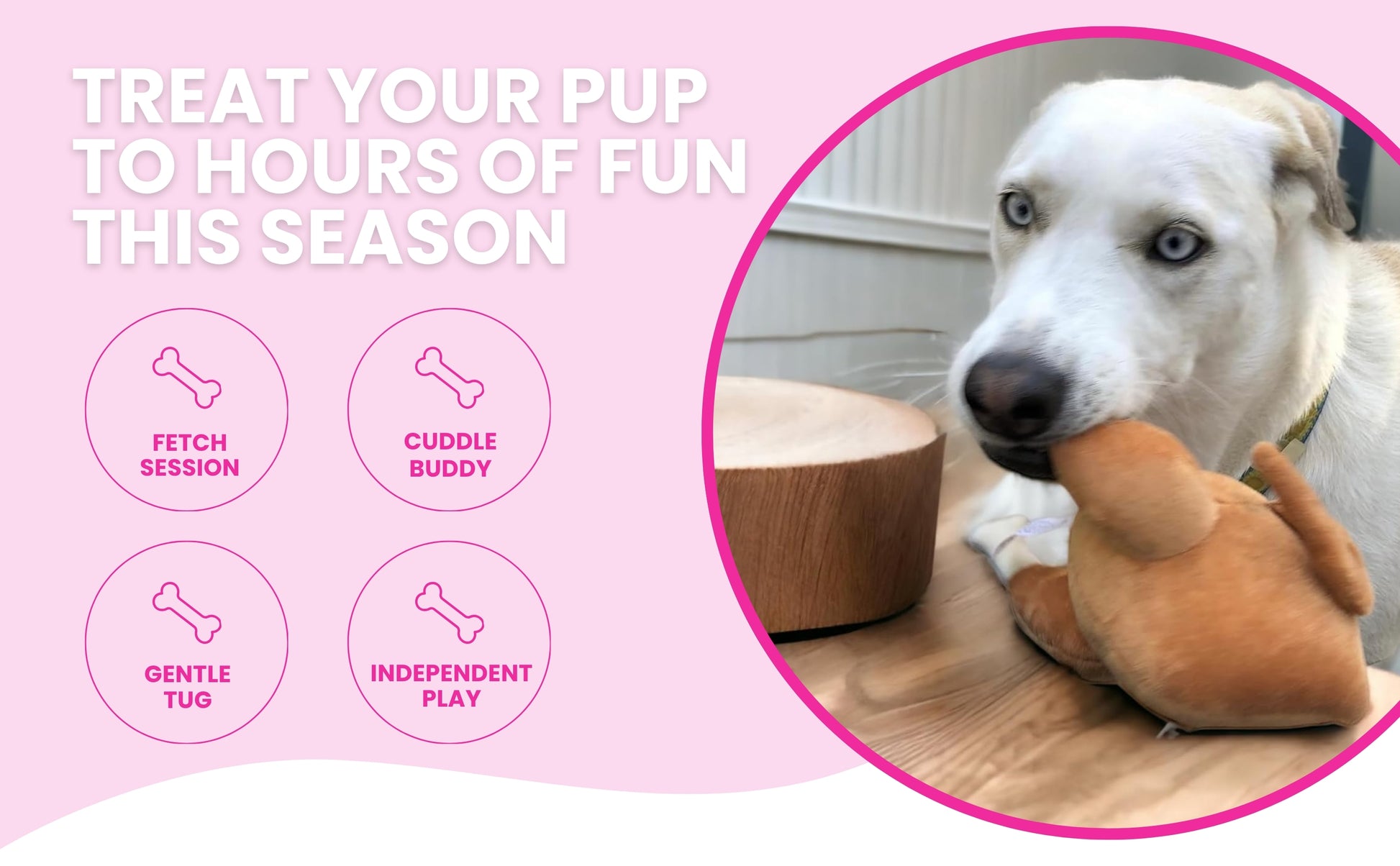 Thanksgiving Squeaky Plush Turkey Dog Toy - Glow Pups