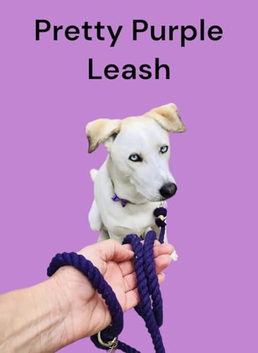 Boho Chic Purple Ombre Rope Leash