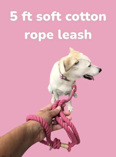Magenta Pink Boho Chic Dog Leash