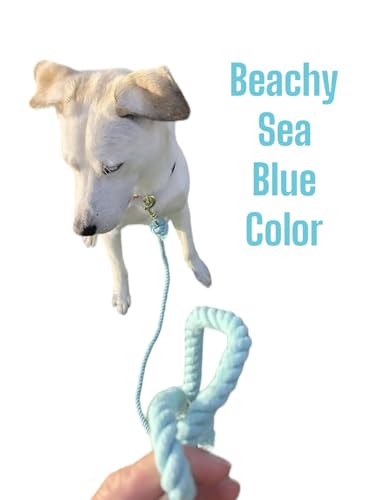 Sea Blue Rope Leash