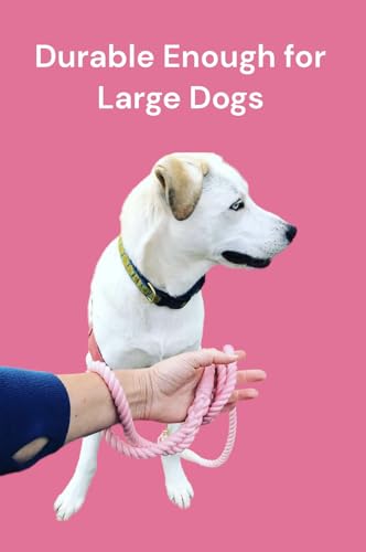 Pink and White Tie Dye Dog Leash