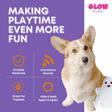 Halloween Jack O Lantern Hide and Seek Dog Toy - Glow Pups by Glow Pups