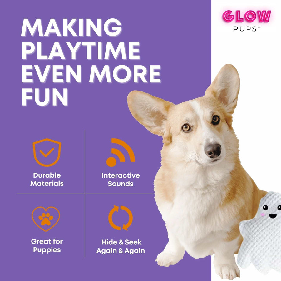 Halloween Jack O Lantern Hide and Seek Dog Toy - Glow Pups by Glow Pups
