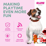 Christmas Stocking Dog Toy with Santa, Snowman and Gingerbread Man toys - Glow Pups by Glow Pups