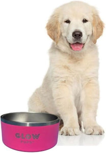 Glow Pups Insulated Stainless Steel Dog Bowl 🐾- 32oz and 64oz