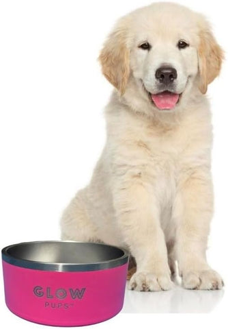 Glow Pups Insulated Stainless Steel Dog Bowl 🐾