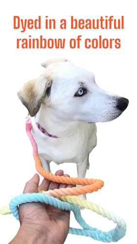 Tie dye best sale rope dog leash