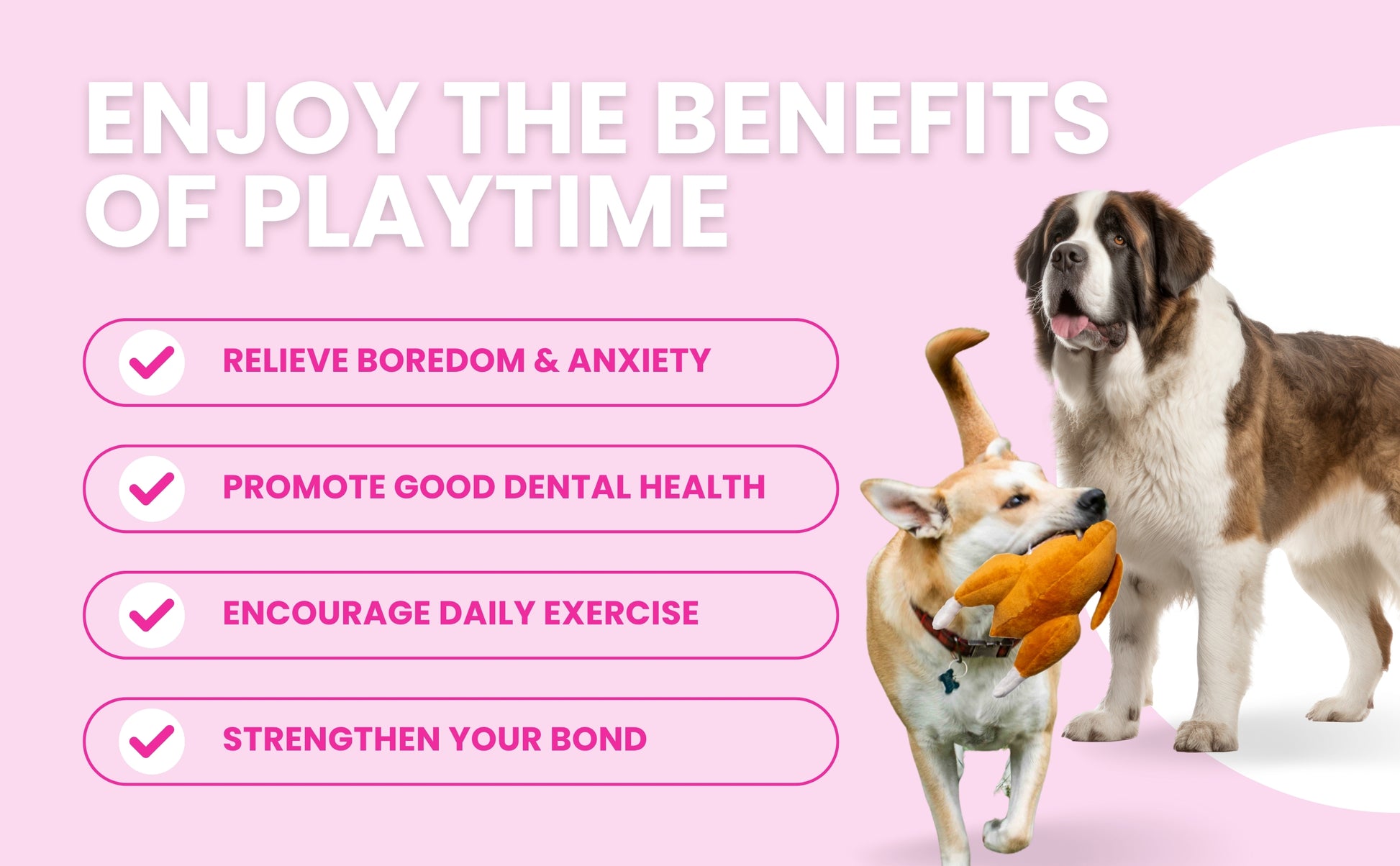 Thanksgiving Squeaky Plush Turkey Dog Toy - Glow Pups