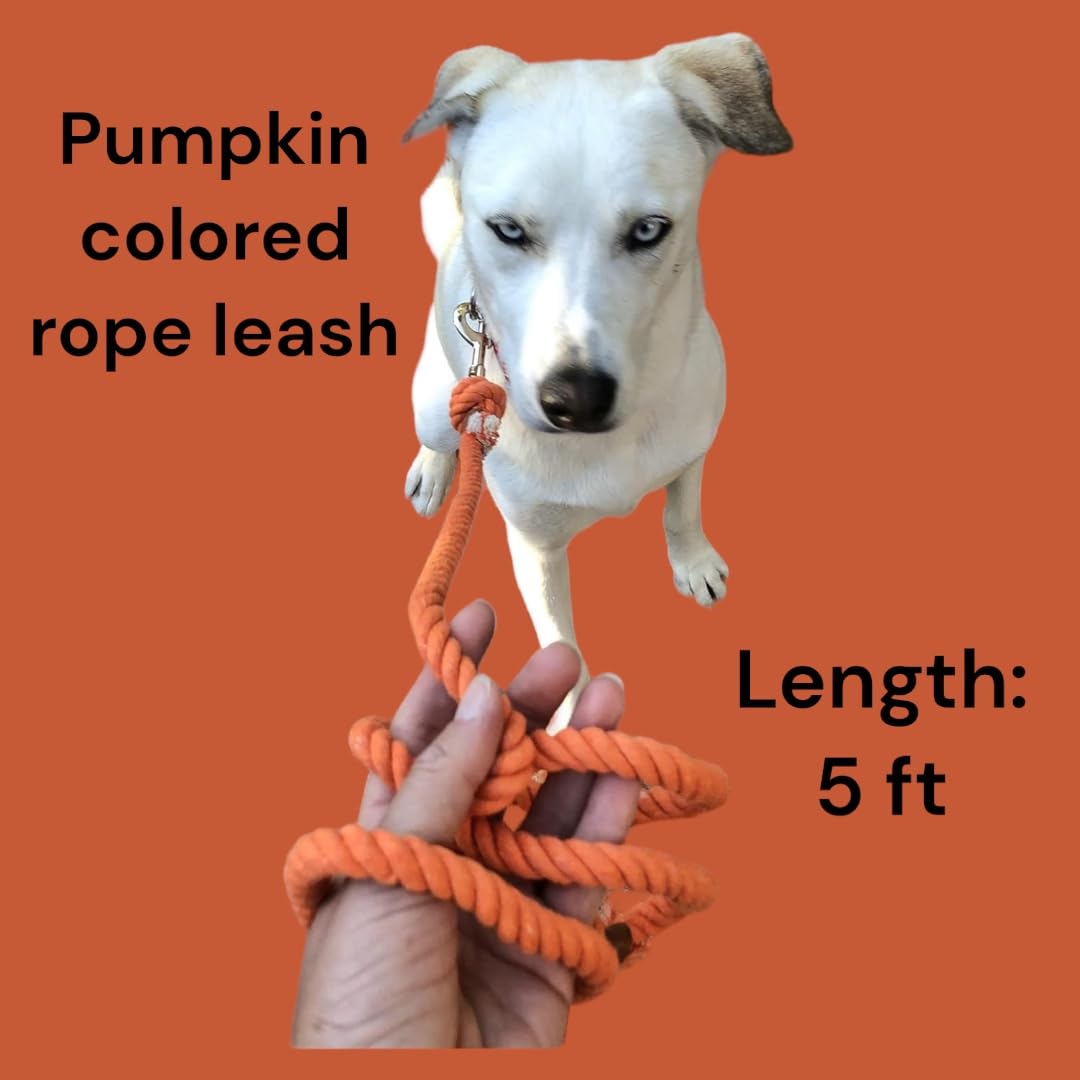 Orange Boho Chic Style Leash