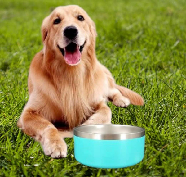 Glow Pups 32oz and 64oz Aqua Blue Stainless Steel Dog Bowl