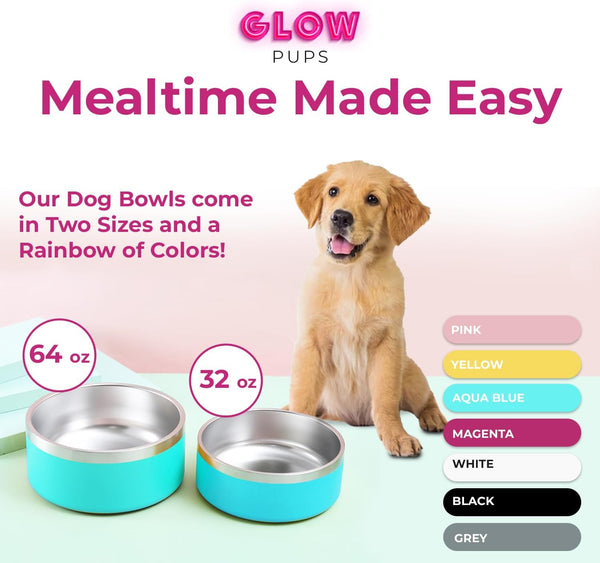Glow Pups 32oz and 64oz Aqua Blue Stainless Steel Dog Bowl