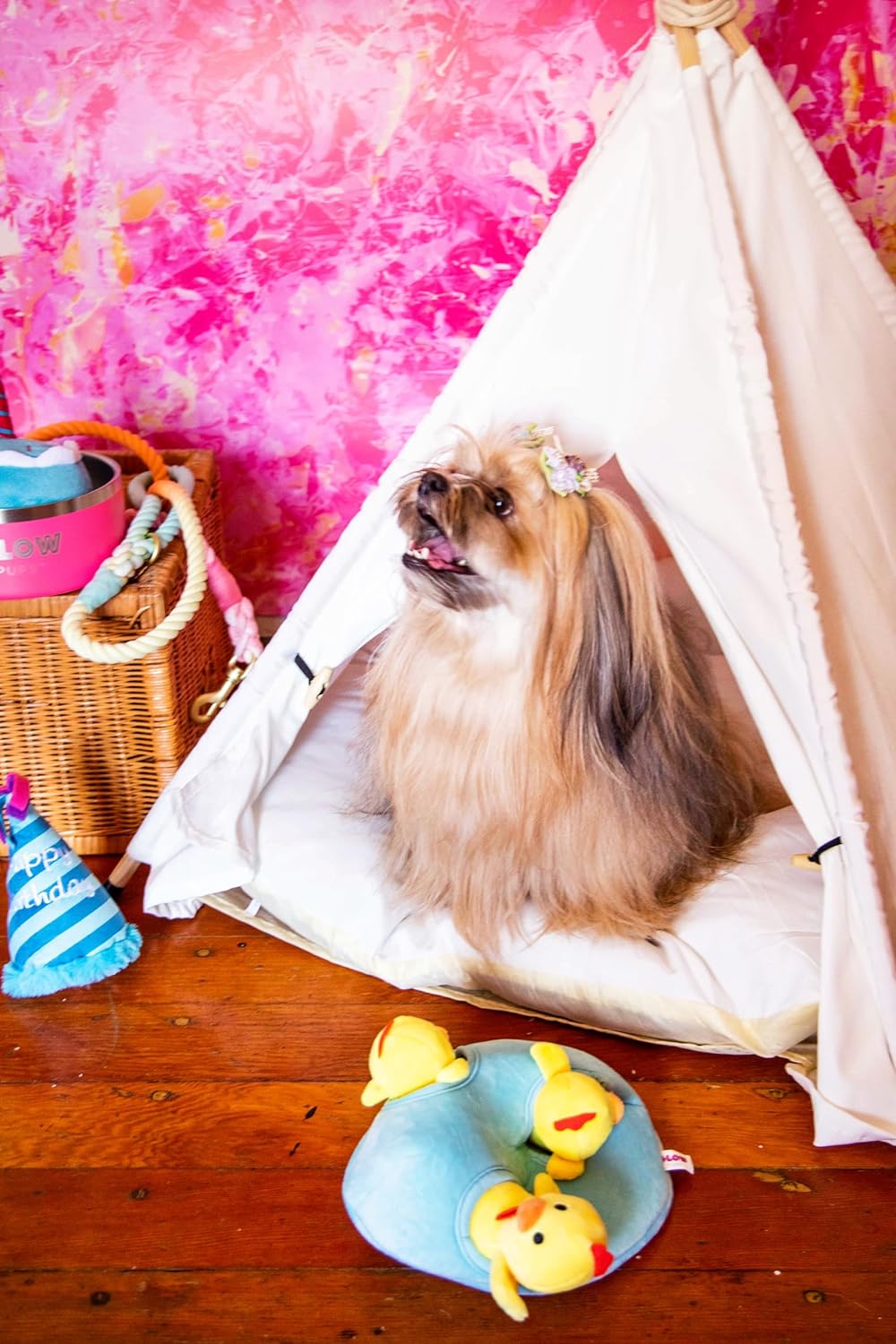 Pet Teepee Dog Bed at Glow Pups