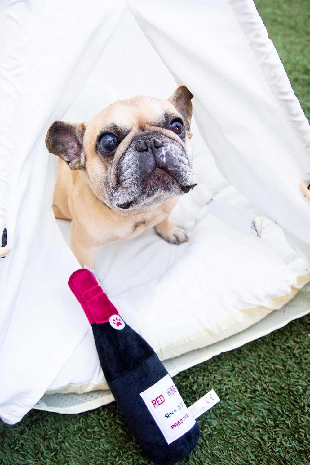 Squeaky Red Wine Plush Dog Toy - Glow Pups