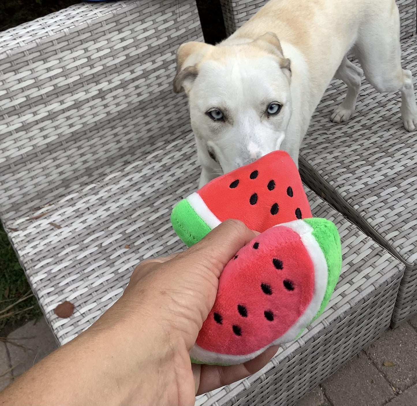 Squeaky Watermelon Plush Dog Toy 2 Pack