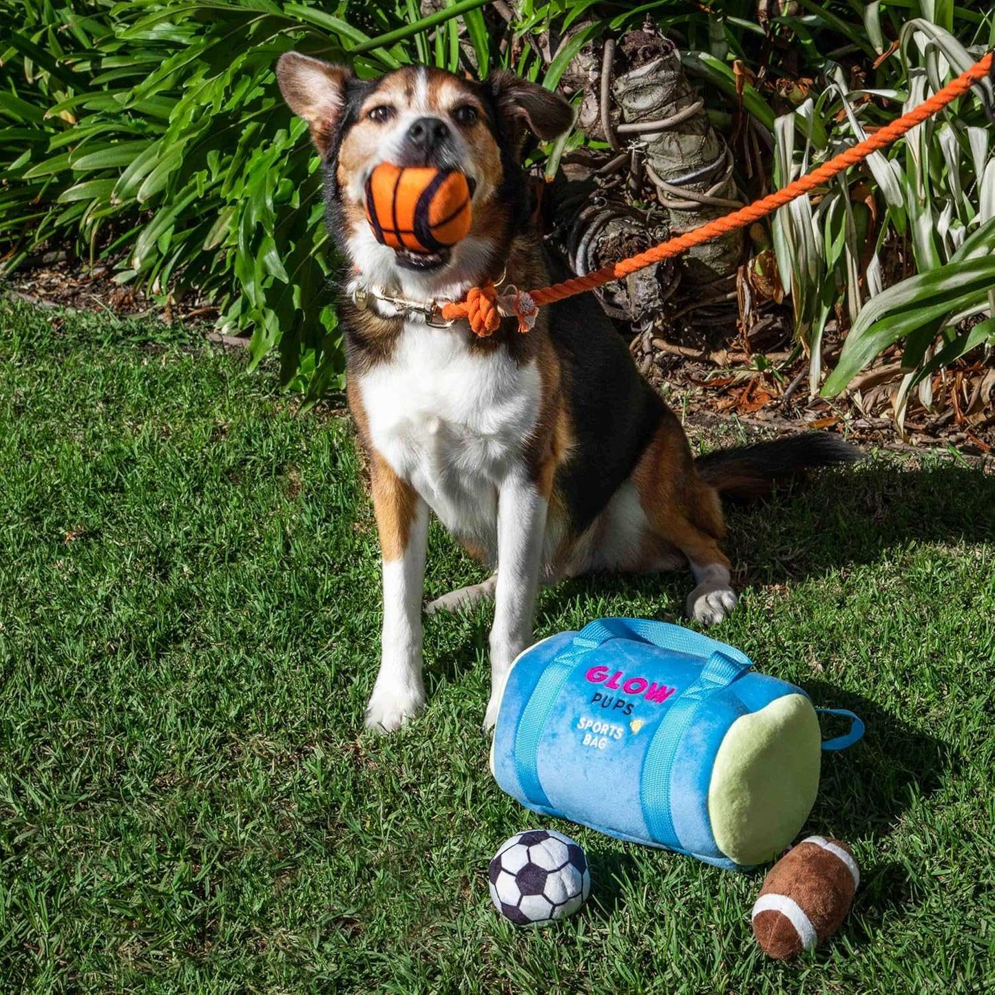 Sports Bag Hide & Seek Dog Toys - Glow Pups by Glow Pups
