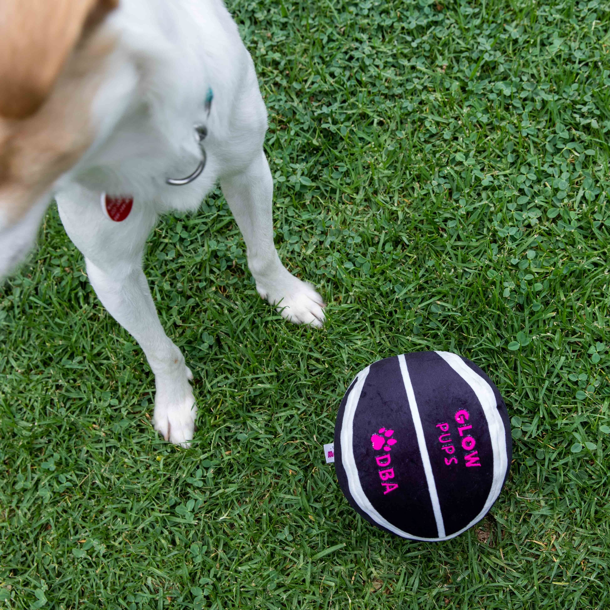 Glow Pups Plush Basketball Dog Toy with Squeaker, Black and White by Glow Pups