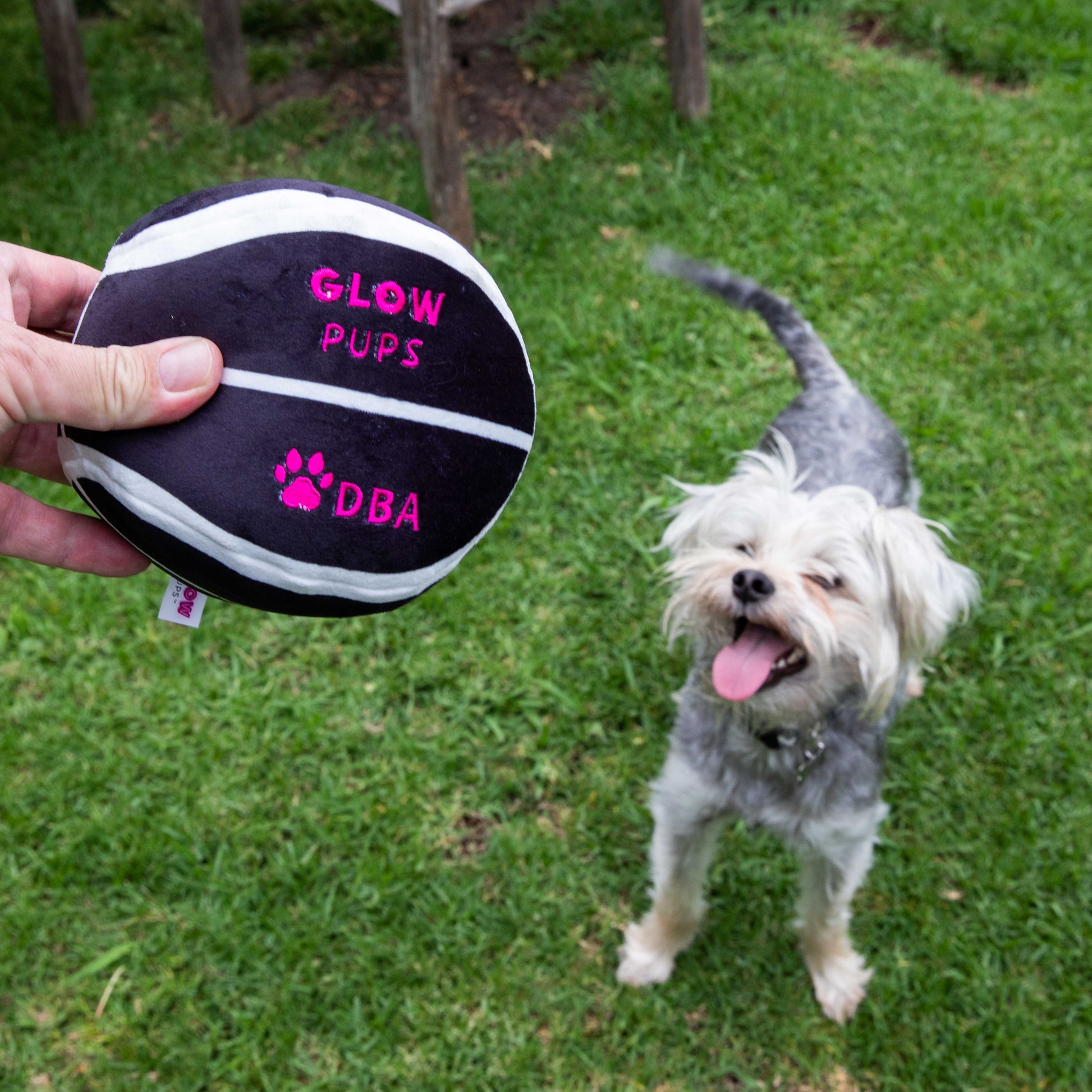 Glow Pups Plush Basketball Dog Toy with Squeaker, Black and White by Glow Pups