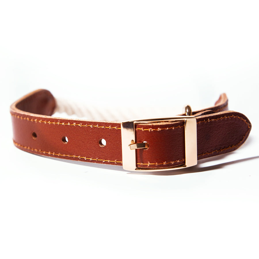 White Rope and Leather Collar - Glow Pups by Glow Pups