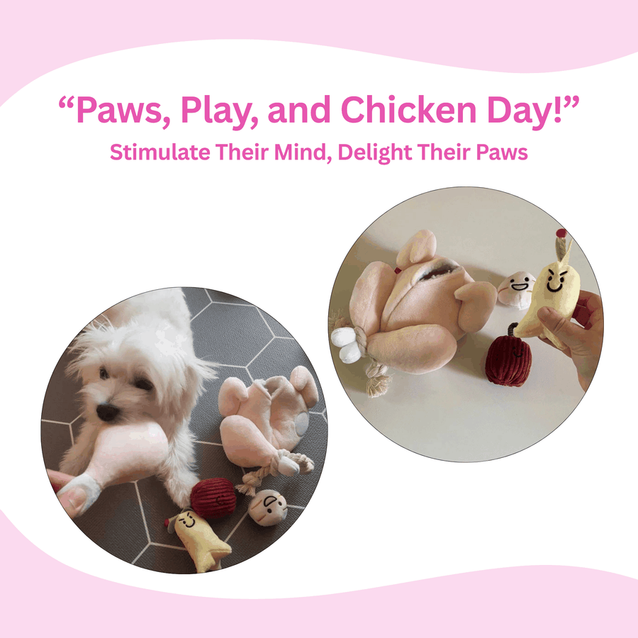 Squeaky Stuffed Chicken Dog Toy - Glow Pups by Glow Pups